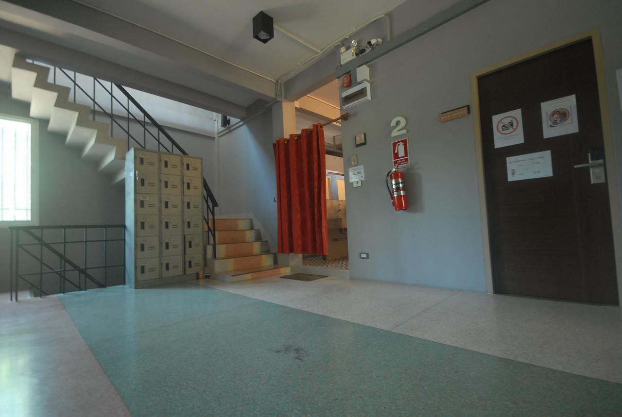 Bunk Bed Mixed Dormitory Room